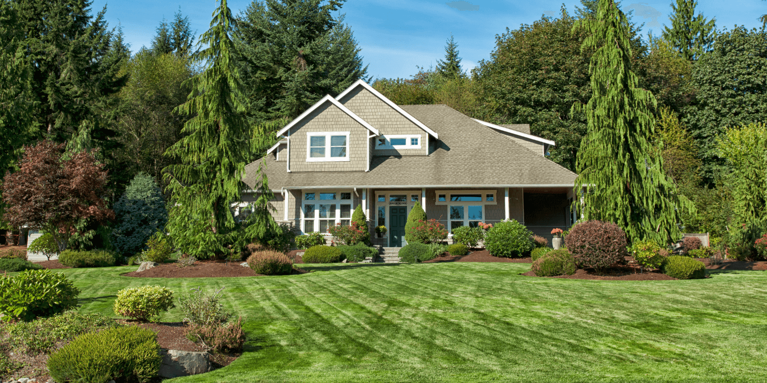 Beautiful home with an amazing yard